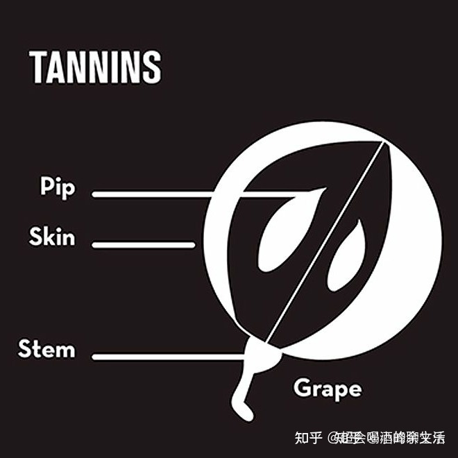 西班牙红酒酒庄排名_红酒抽真空酒塞_西班牙红酒酒塞有哪些品牌