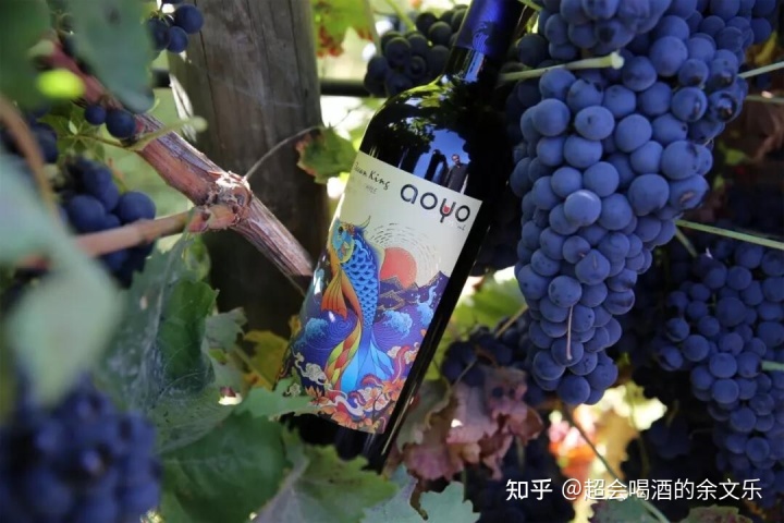 红酒抽真空酒塞_西班牙红酒酒塞有哪些品牌_西班牙红酒酒庄排名