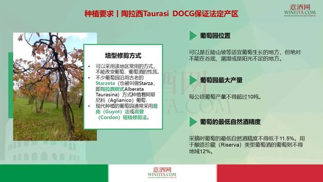 西班牙红酒酒塞有哪些品牌_红酒抽真空酒塞_西班牙红酒酒庄排名