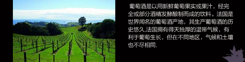 西班牙红酒酒塞有哪些品牌_红酒抽真空酒塞_西班牙红酒酒庄排名