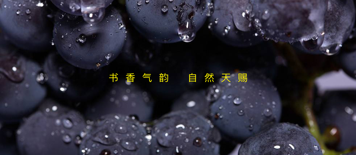 禹城市华龙酒业_华龙酒业控股有限公司_华龙酒业红酒