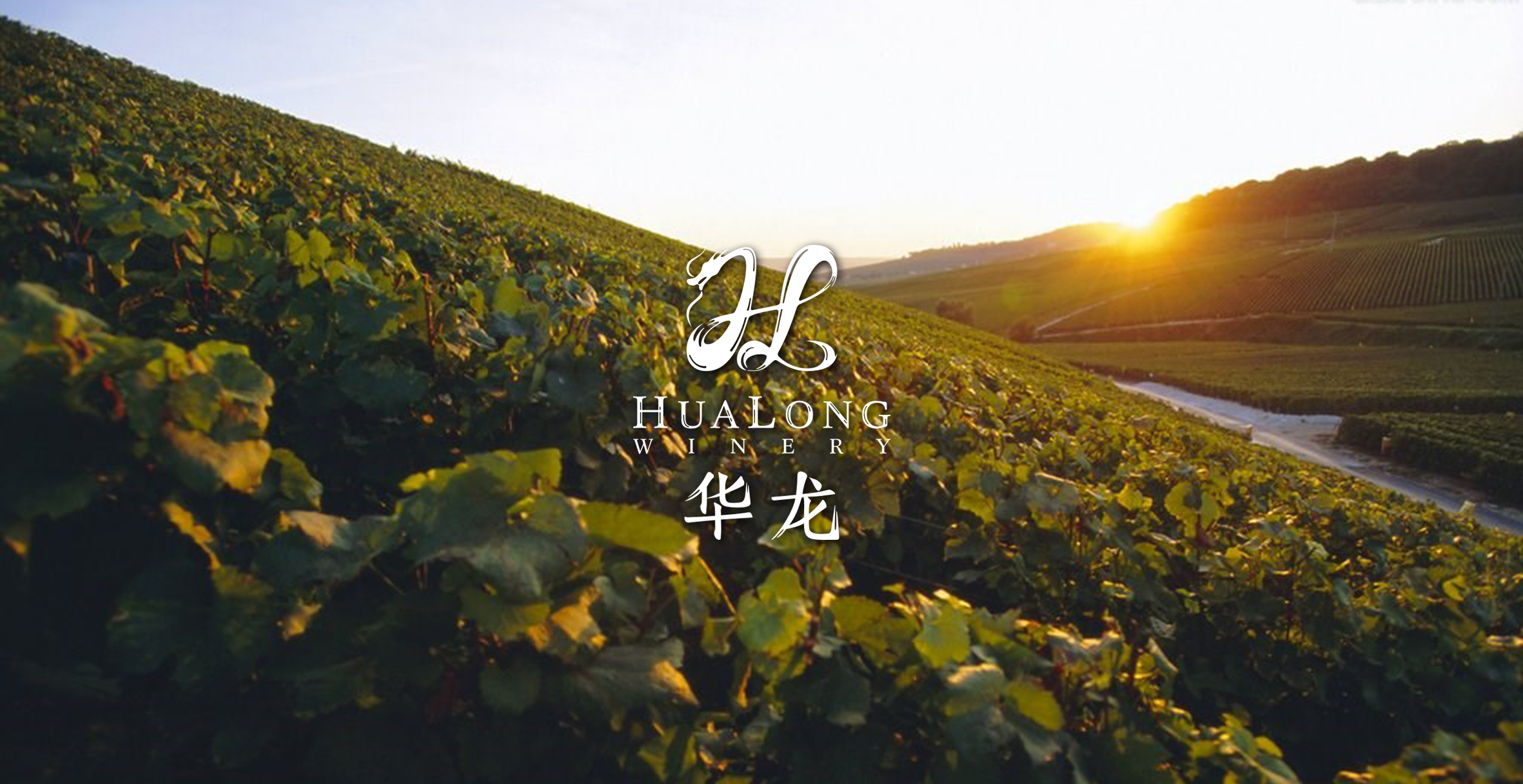 华龙酒业控股有限公司_禹城市华龙酒业_华龙酒业红酒