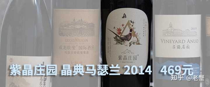中国葡萄酒文化_彭祖文化葡萄圈子_酒葡萄图片