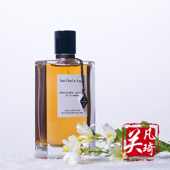 中国葡萄酒文化_彭祖文化葡萄圈子_酒葡萄图片