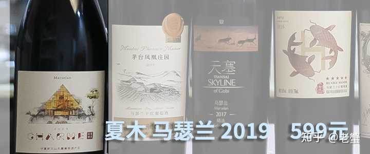 彭祖文化葡萄圈子_中国葡萄酒文化_酒葡萄图片