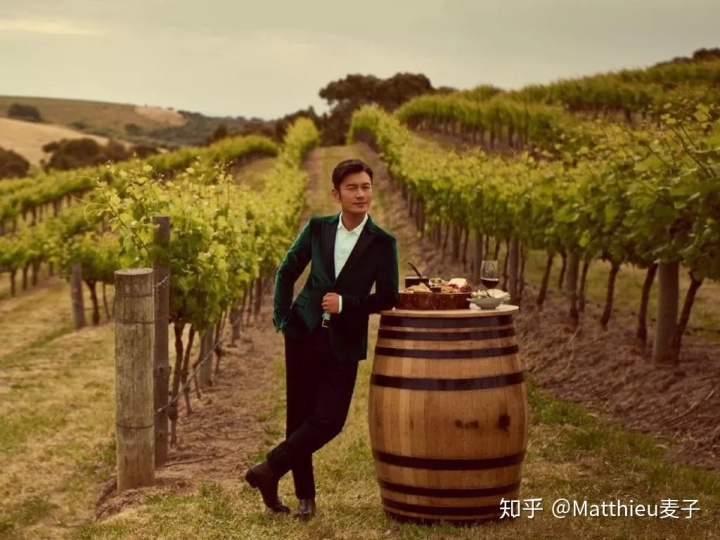 中国葡萄酒文化_朗格斯酒庄2007年份黑山伯爵干红葡萄酒价格_茶淀葡萄文化旅游节