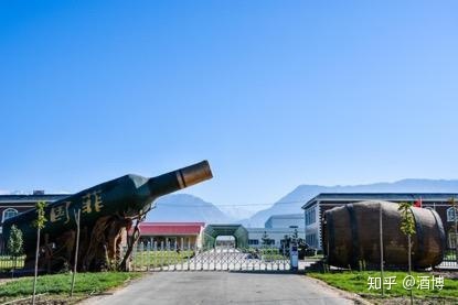 中国葡萄酒文化_上海办新农村文化成果展 身上挂葡萄的女模特叫什么_酒星干红葡萄酒价格
