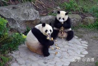 中国葡萄酒文化_上海办新农村文化成果展 身上挂葡萄的女模特叫什么_酒星干红葡萄酒价格