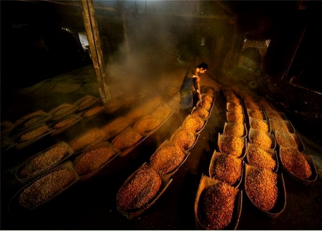 如何买到最佳的纯酿酒?这3点有关白酒的常识,可避免你走弯路