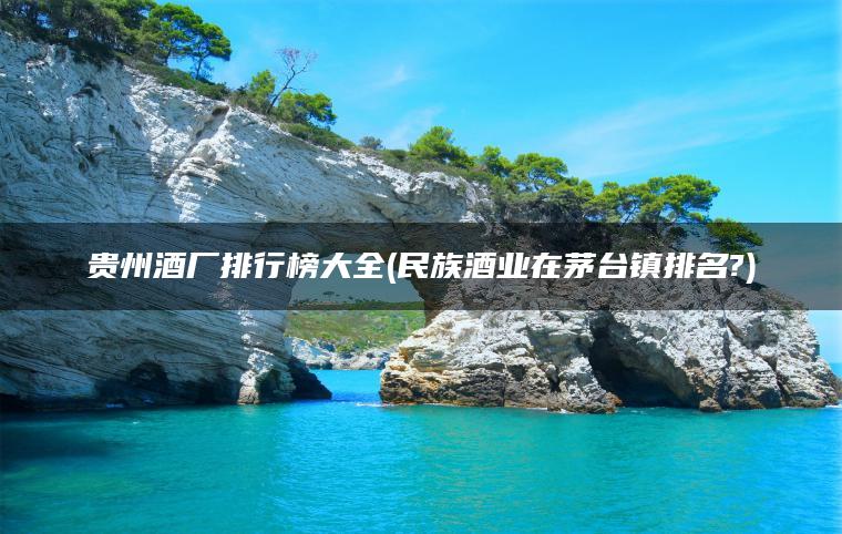 贵州酒厂排行榜大全(民族酒业在茅台镇排名?)