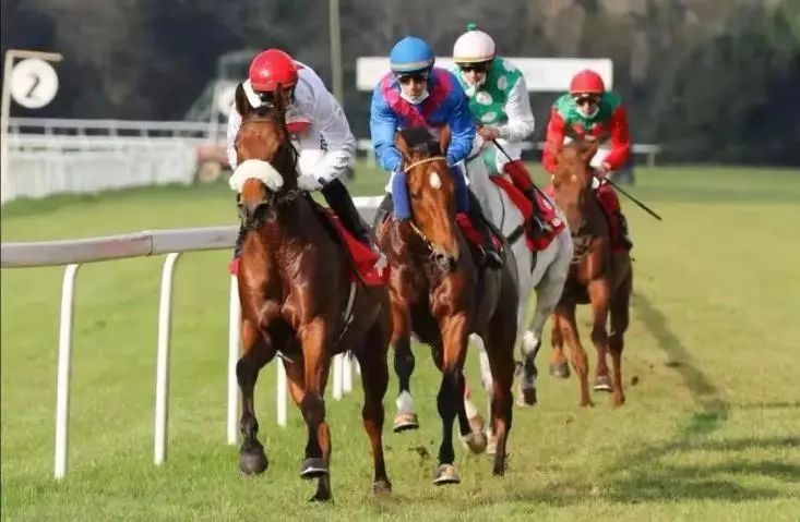 中华酒文化_中华古典文化研究所_中华圣人文化系列千古医圣