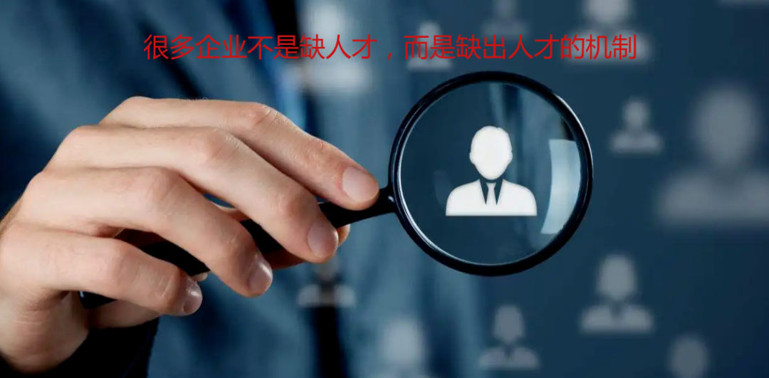 期待“鲁酒振兴”打破桎梏，破茧成蝶