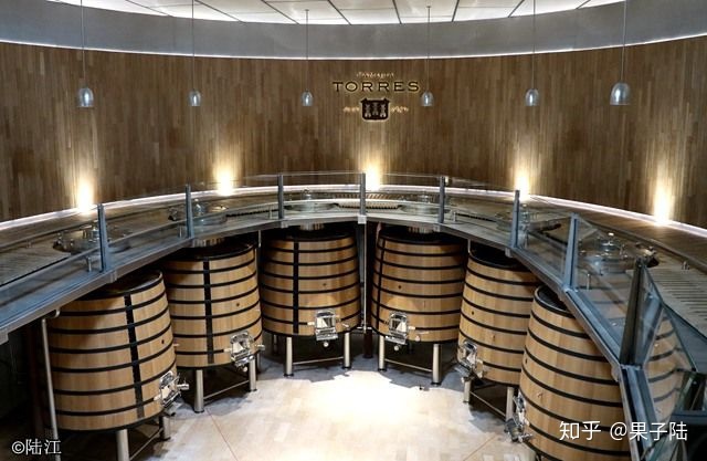 西班牙进口红酒批发富克塞万特斯干红葡萄酒_西班牙红酒酒塞有哪些品牌_西班牙红酒酒庄排名