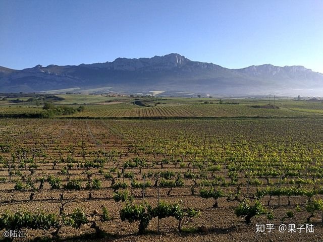 西班牙红酒酒塞有哪些品牌_西班牙进口红酒批发富克塞万特斯干红葡萄酒_西班牙红酒酒庄排名