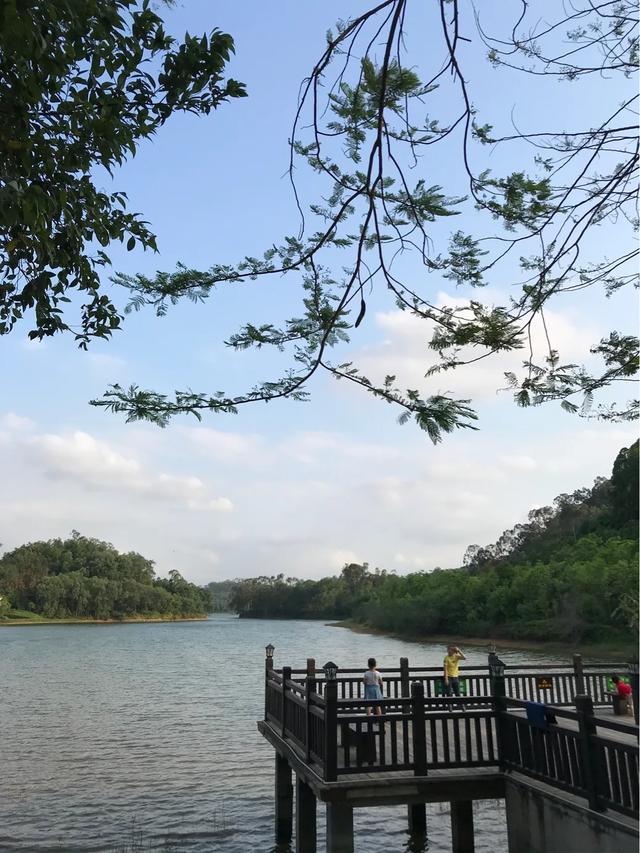 丹佛艺术博物设计师馆_大连长兴酒文化博物馆_荷兰人体博物 馆