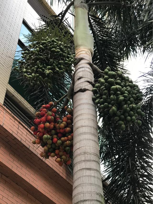 丹佛艺术博物设计师馆_大连长兴酒文化博物馆_荷兰人体博物 馆