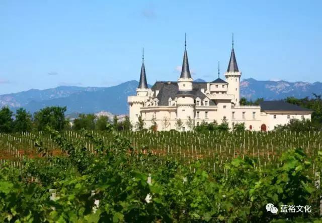 宁夏葡萄酒文化论文_地方酒俗文化论文_宁夏葡萄酒局