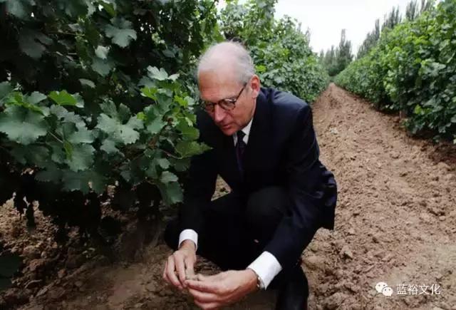 宁夏葡萄酒局_宁夏葡萄酒文化论文_地方酒俗文化论文