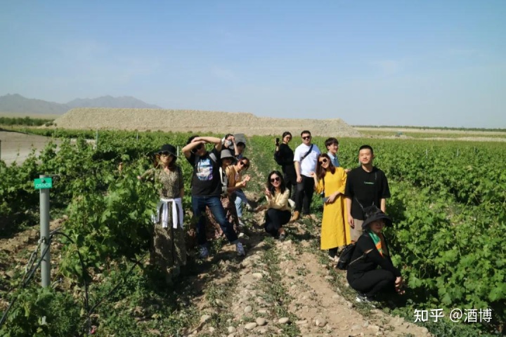 宁夏葡萄酒局赵世华_宁夏贺兰晴雪酒庄酒价_宁夏葡萄酒文化论文