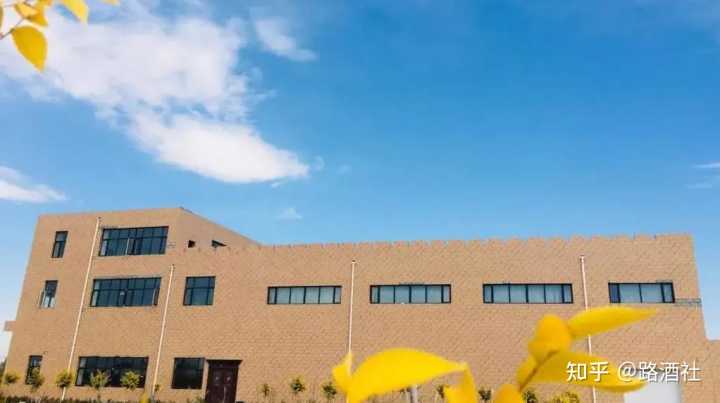 宁夏葡萄酒文化_宁夏葡萄酒文化论文_地方酒俗文化论文