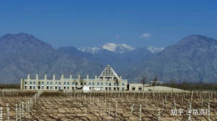 宁夏葡萄酒文化_地方酒俗文化论文_宁夏葡萄酒文化论文