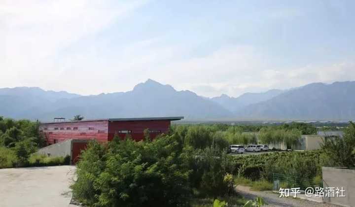 地方酒俗文化论文_宁夏葡萄酒文化_宁夏葡萄酒文化论文