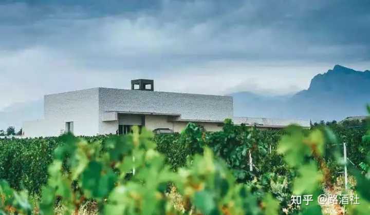 地方酒俗文化论文_宁夏葡萄酒文化论文_宁夏葡萄酒文化