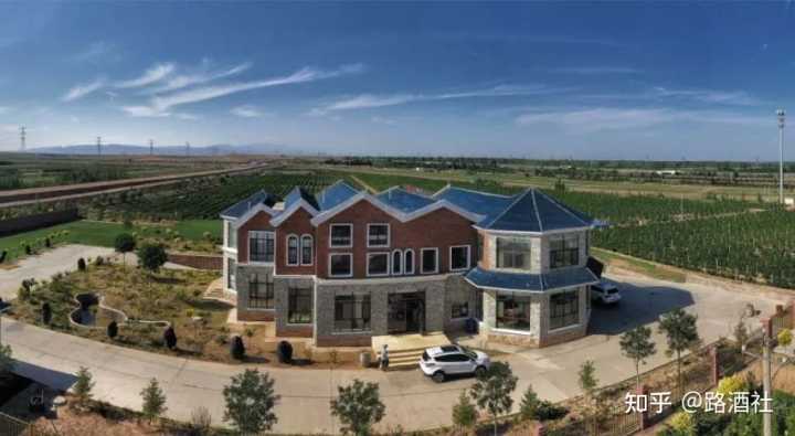 地方酒俗文化论文_宁夏葡萄酒文化论文_宁夏葡萄酒文化