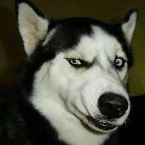 桐乡舞厅陪跳舞收费吗_玩跳舞机要会跳舞吗_公司酒会我陪领导跳舞