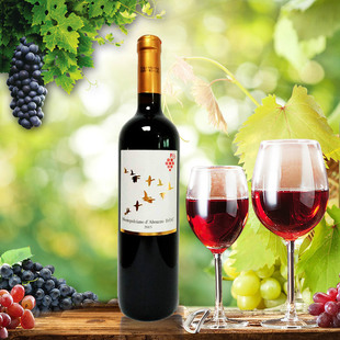 欧洲 文化_欧洲庄园文化_欧洲酒文化