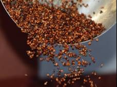 欧洲骑士文化_欧洲酒神文化对西方文化的影响_欧洲酒文化