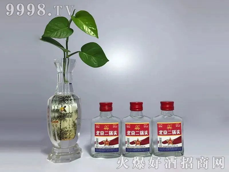 苏酒厂家招商 苏酒代理批发_白酒网 白酒招商 白酒代理 白酒_品牌白酒代理|时尚小酒拇指酒全国招商