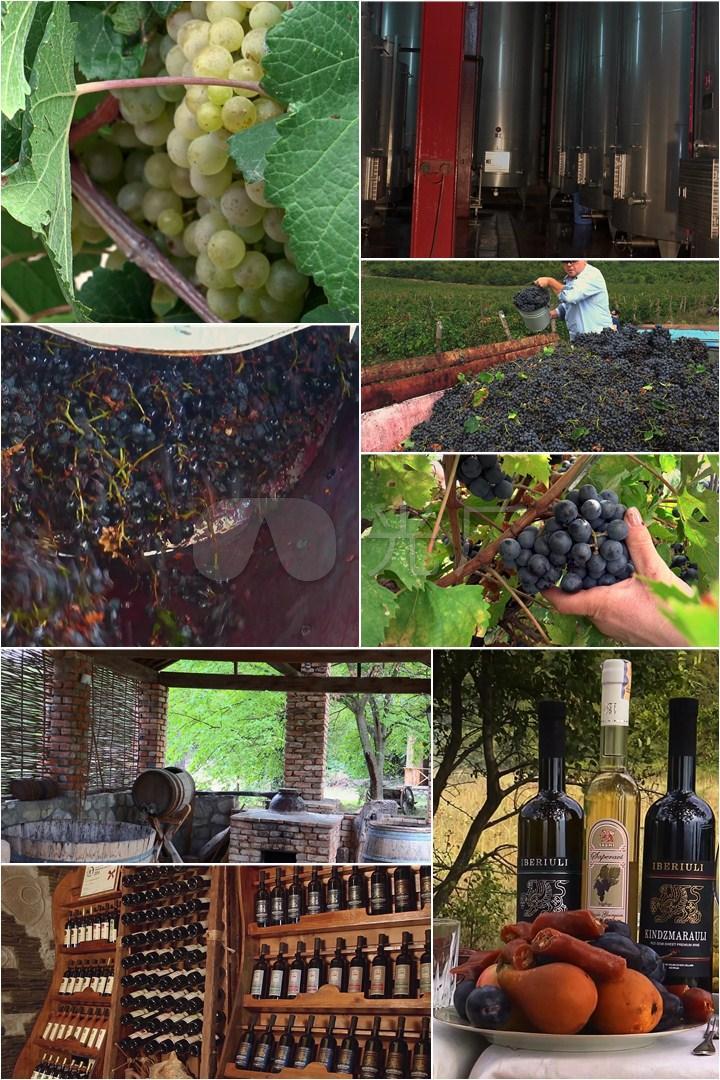 法国培育葡萄酒文化_葡萄品种培育_培育乡贤文化实施方案