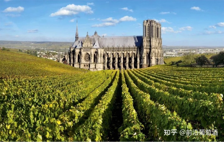 银行服务文化培育_法国培育葡萄酒文化_怎么培育葡萄幼苗