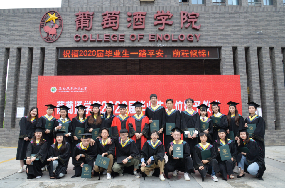 法国培育葡萄酒文化_企业如何培育创新文化_如何培育文化自信和增强文化软实力