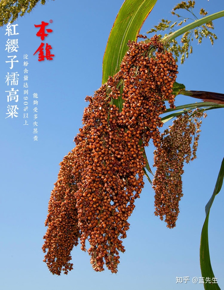 贵州仁怀市茅台镇华台酒业_贵州荣和黔水坊酒业_贵州茅台镇荣和酒业有限公司