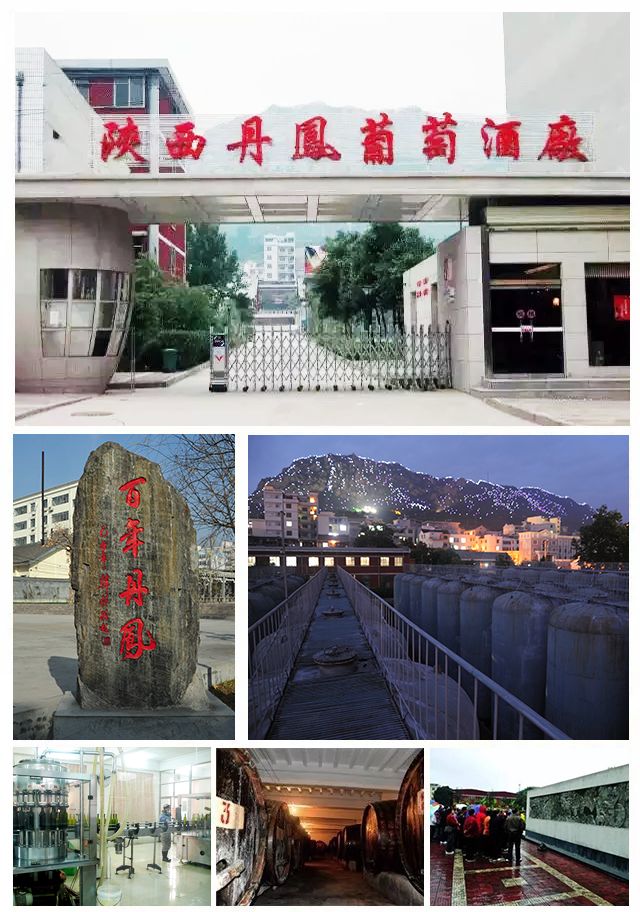 陕西开缸酒_陕西酒品牌_大梁酒庄品牌酒