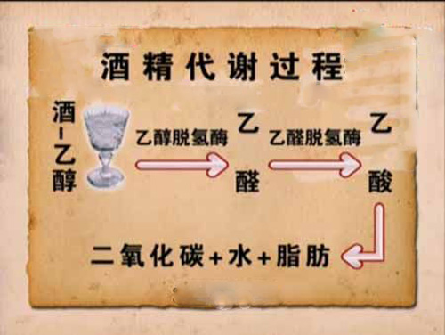 2015酒驾醉驾处罚标准最新规定_酒驾和醉驾标准_酒驾标准是和多少的白酒