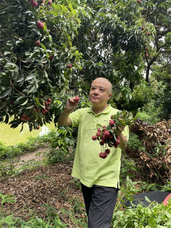 抱抱果百草味在韩剧_果味酒品牌_百草味抱抱果怎么样