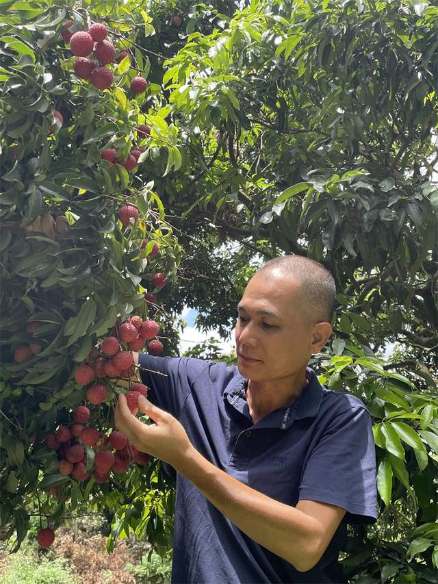 抱抱果百草味在韩剧_果味酒品牌_百草味抱抱果怎么样