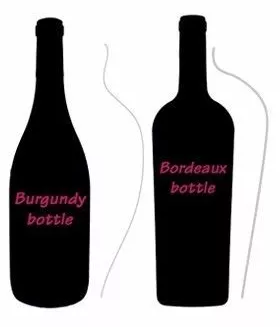 深扒法国两大顶级葡萄酒产区之间的区别