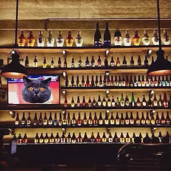 葡萄 酒 功效_欧洲葡萄酒文化_酒星干红葡萄酒价格