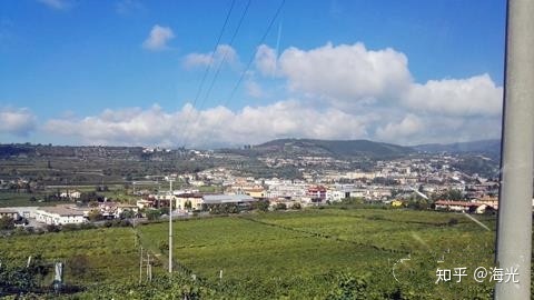 从中国背景中的西方圣诞节看文化渗透问题_希腊和希伯来文化共同铸就了西方的思想和文化传统_西方的葡萄酒文化