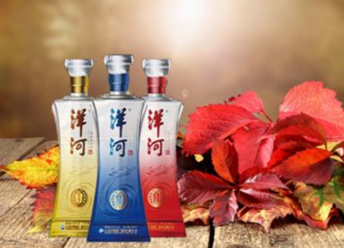 白酒标准汇编_农网建设技术改造标准汇编_白酒标准汇编