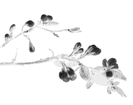 我身边的酒文化论文_寻找身边最美\"微视角记录行动\" 暑期社会实践论文_我身边的管理论文