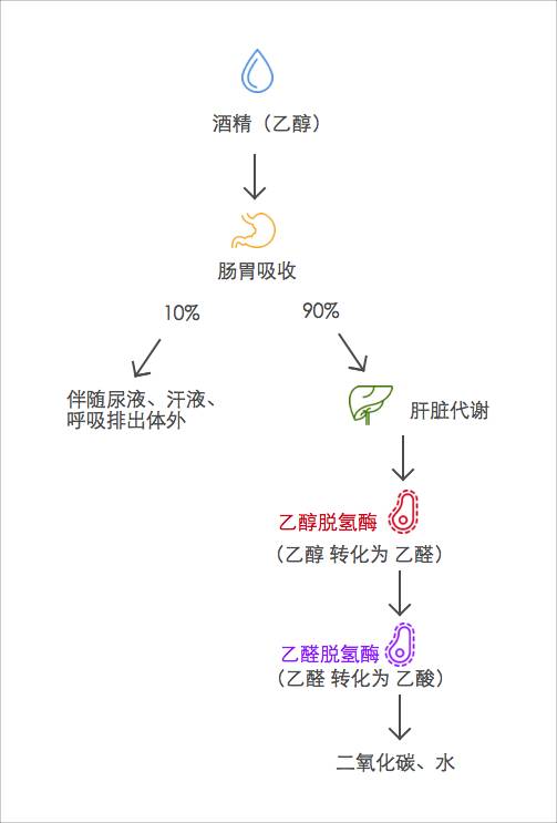 白酒塑化剂残留标准_白酒杂醇油标准_白酒杂醇油标准