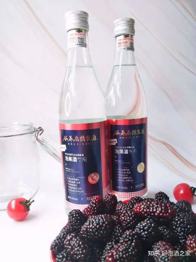 翰尔斯贝桑椹酒_桑葚酒品牌翰尔斯贝_桑葚酒品牌翰尔斯贝