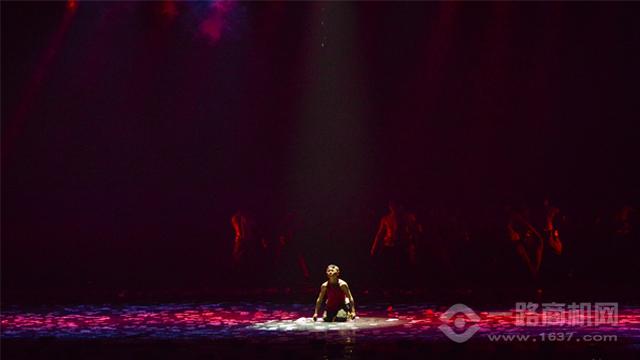 酒品牌_法国中级酒庄品牌_五粮国宾酒品牌