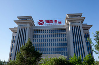 河套王酒业有限公司_河套酒业 新品_河套陈藏酒业价目表