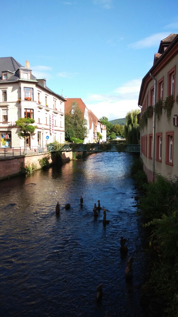 德国葡萄酒文化_酒葡萄品种大全_葡萄洗太干净了做酒怎么发酵